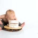 Bite sized Brilliance Crafting Toddler Meals for Picky Palates