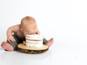 Bite sized Brilliance Crafting Toddler Meals for Picky Palates