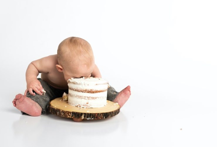 Bite sized Brilliance Crafting Toddler Meals for Picky Palates
