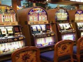The Top Software Providers for Direct Web Slots
